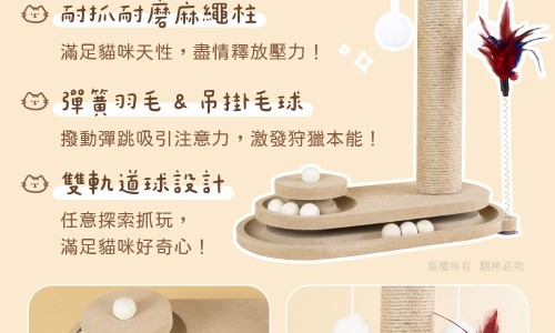 扁桃体化脓脸上起疹子网扁桃体化脓脸上起疹子怎么回事知识网站,分享扁桃体有炎症导致脸上长痘怎么办大全
