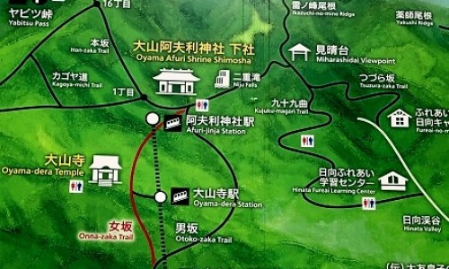 扁桃体化脓脸上起疹子网扁桃体化脓脸上起疹子怎么回事知识网站,分享扁桃体有炎症导致脸上长痘怎么办大全